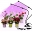 Світлодіодна фітолампа GrowLight для вирощування кімнатних рослин Full Spectrum (OJ126IU) Черновцы