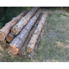 Дрова сосни 2-х метрівками Drovianik, ціна без доставки Буча