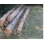 Дрова сосни 2-х метрівками Drovianik, ціна без доставки Фастів