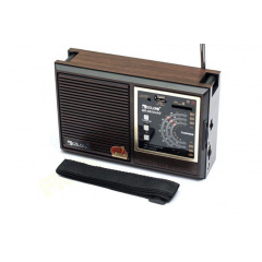 Радио Golon T-AY27048 RX-9922 с ручкой Житомир