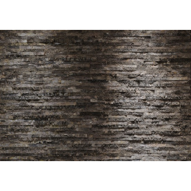 Фотообои 8-700 KOMAR Birkenrinde 368х254