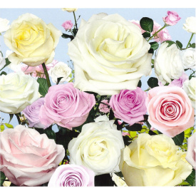 Фотообои Престиж №15 294х272