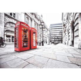 Фотообои Престиж №7 196х136