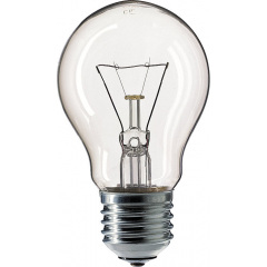 Прозрачная лампа накаливания PHILIPS 10018503 A55 100W Е27 CL Полтава