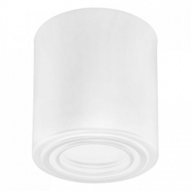 Светильник накладной FREZYA-R белый