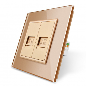 Компьютерная розетка два RJ-45 Livolo золото стекло (VL-C792C-13)
