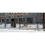Фиброцементная панель для балконов и входных групп Cedar 1200х3000 мм HD S 1560-R90B Ужгород