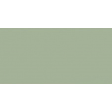 Керамическая плитка Paradyz Feelings Green Sciana Rekt. G1 29,8х59,8 см