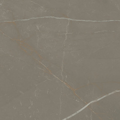 Керамогранитная плитка Paradyz Linearstone Taupe Gres Szkl. Rekt. Mat. G1 59,8х59,8 см Житомир
