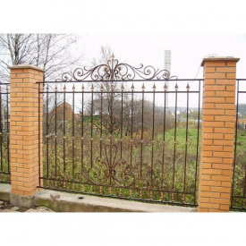 Забор кованый Сімона