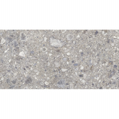 Плитка Cerrad Gres Ceppo Nuovo Silver Rect 8х597х1197 мм (529953) Черновцы