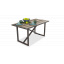 Стол в стиле LOFT (NS-2065) Киев