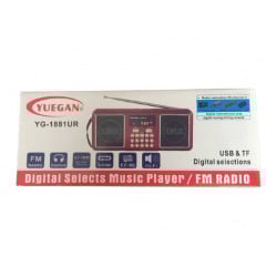 Портативный радиоприёмник аккумуляторный FM радио YUEGAN YG-1881UR c SD-карта, MP3 плеер красный Одесса