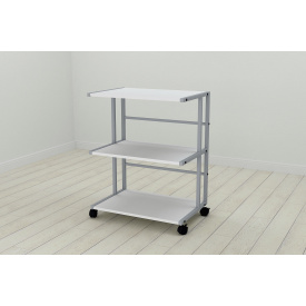 Этажерка на колесиках Ferrum-decor Камило 75x40x60 металл Серый ДСП Белое 16мм (KAM0015)