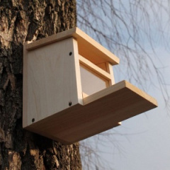 Кормушка для белки (8006) Киев