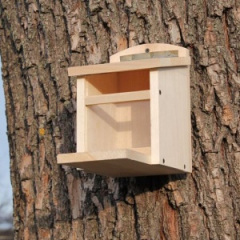 Кормушка для белки (8006) Киев