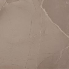 Фото - Плитка Azteca Passion Lux 60 Taupe 60х60 см Плитка Azteca Passion Lux 60 Taupe 60х60 см