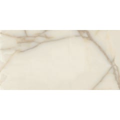 Плитка Azulejos Benadresa Newbury Pulido Rect 60х120 см Киев