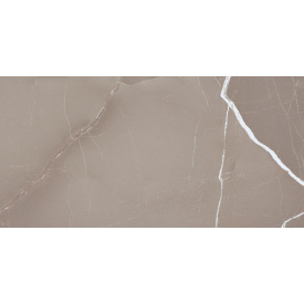 Плитка Azteca Passion Lux Taupe 60х120 см