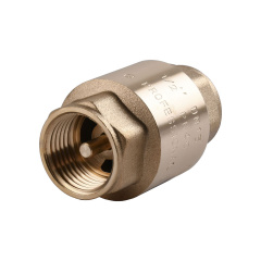 Клапан обратного хода воды Q PROFESSIONAL 1″ QP100 Луцьк