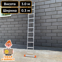 Приставна односекційна драбина на 11 сходинок Техпром Київ
