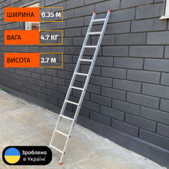 Односекционная приставная лестница на 10 ступеней ТД Профи Киев