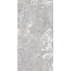 Плитка Allore Group Snake stone Silver Mat 120х60 см Ірпінь