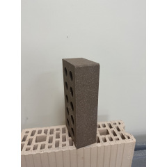 Кирпич гладкий пустотелый ECOBRICK (250х120х65) коричневый Киев