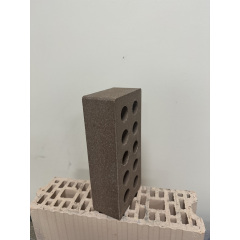Кирпич гладкий пустотелый ECOBRICK (250х120х65) коричневый Киев
