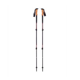 Трекинговые палки Black Diamond W Trail Cork Cherrywood (1033-BD 1125272009ALL1)