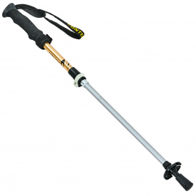 Палка треккинговая planeta-sport для скандинавской ходьбы TY-0466-4 CONTOOSE l-55-123см Золотой