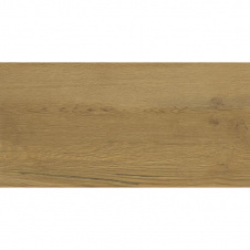 Плитка настенная CERAMIKA COLOR Intense Wood RECT 300x600 мм