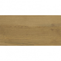 Плитка настенная CERAMIKA COLOR Intense Wood RECT 300x600 мм Київ