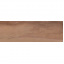 Плитка настенная CERAMIKA COLOR Terra Brown RECT 250х750 мм Киев