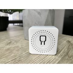 Міні Wifi реле бездротової вимикач з таймером Smart House 16A сумісна з Туя Алекса Google асистентами Київ
