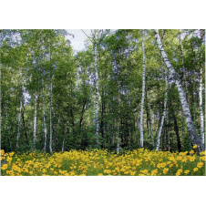 Фотообои Арт Декор Лесные красавицы 134х194