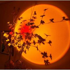 Лампа LED для селфи Sunset Lamp эффект солнца высота 16 см (SL78733111) Каменец-Подольский