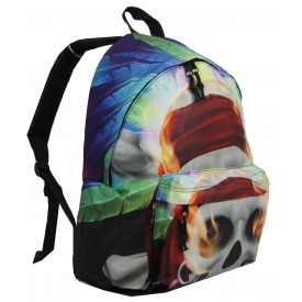 Городской рюкзак Corvet BP2153-CZ 20L С черепом