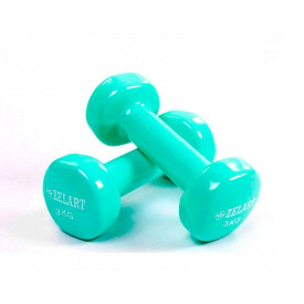 Гантели для фитнеса с виниловым покрытием Zelart Beauty TA-5225-3 мятный (SKL0348)