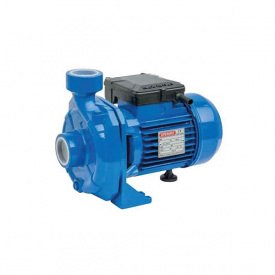 Відцентровий поверхневий насос Speroni GAM 100 (101107020)