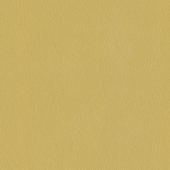 Вінілові шпалери на флізеліновій основі Spotlight 2 P+S international Жовтий (02538-10) Одеса