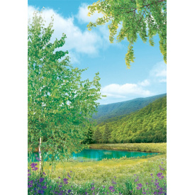 Фотообои Ника Родные просторы 146х210