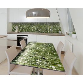 Наклейка 3Д виниловая на стол Zatarga «После летнего дождя» 650х1200 мм (Z183390/1st)