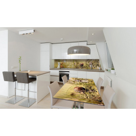 Наклейка вінілова на стіл Zatarga «Гриби» 650х1200 мм Z180537/1st