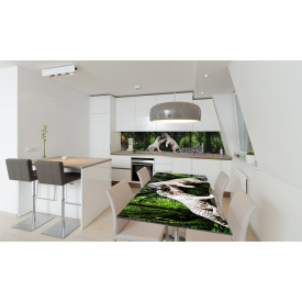 Наклейка вінілова на стіл Zatarga «Білі тигри» 650х1200 мм Z180388/1st