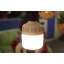 Лампа для увеличения яйценсокости Brille Пластик 15W Серый L137-017 Харків
