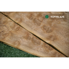 Шпон корень Дуб 0,6 мм - Logs/ Singl