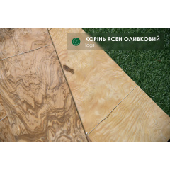 Шпон корень Ясень Оливковый 0,6 мм - Logs Київ