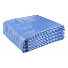 Тент MASTERTOOL 8х10 м 65 г/м² Blue (79-9810)