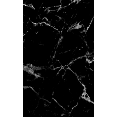 Стінова панель Panastone 1220х2800 мм BLACK WHITE PS-201 Оріхів